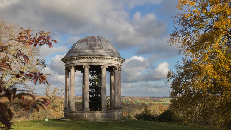 Christmas tree in the Rotunda at Petworth, West Sussex